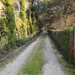 Sejournez Au Coeur Du Perigord - La P'tite Maison, De Charme A Carlux, Pres De Sarlat 펜션 *