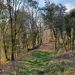 Sejournez Au Coeur Du Perigord - La P'tite Maison, De Charme A Carlux, Pres De Sarlat 펜션