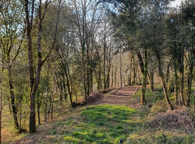 Sejournez Au Coeur Du Perigord - La P'tite Maison, De Charme A Carlux, Pres De Sarlat Semesterbostad
